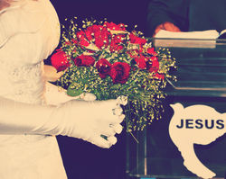Casamento de Cris Hanna e Darlan 5
