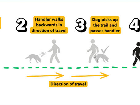 Passive Help in Mantrailing