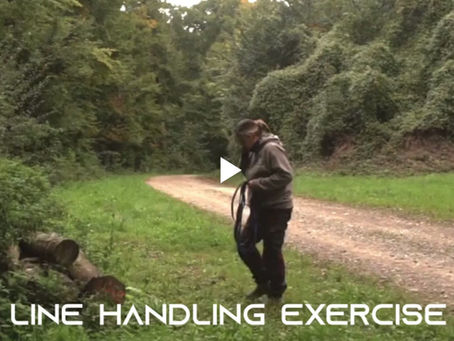 Become a better Line Handler in Mantrailing