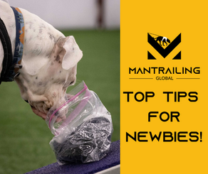 Top Tips for Mantrailing Beginners