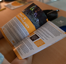 web-08107-MantrailGlobal.png