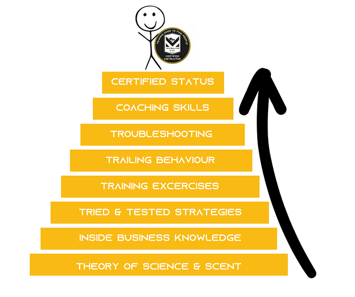 Mantrailing Global Instructor course overview