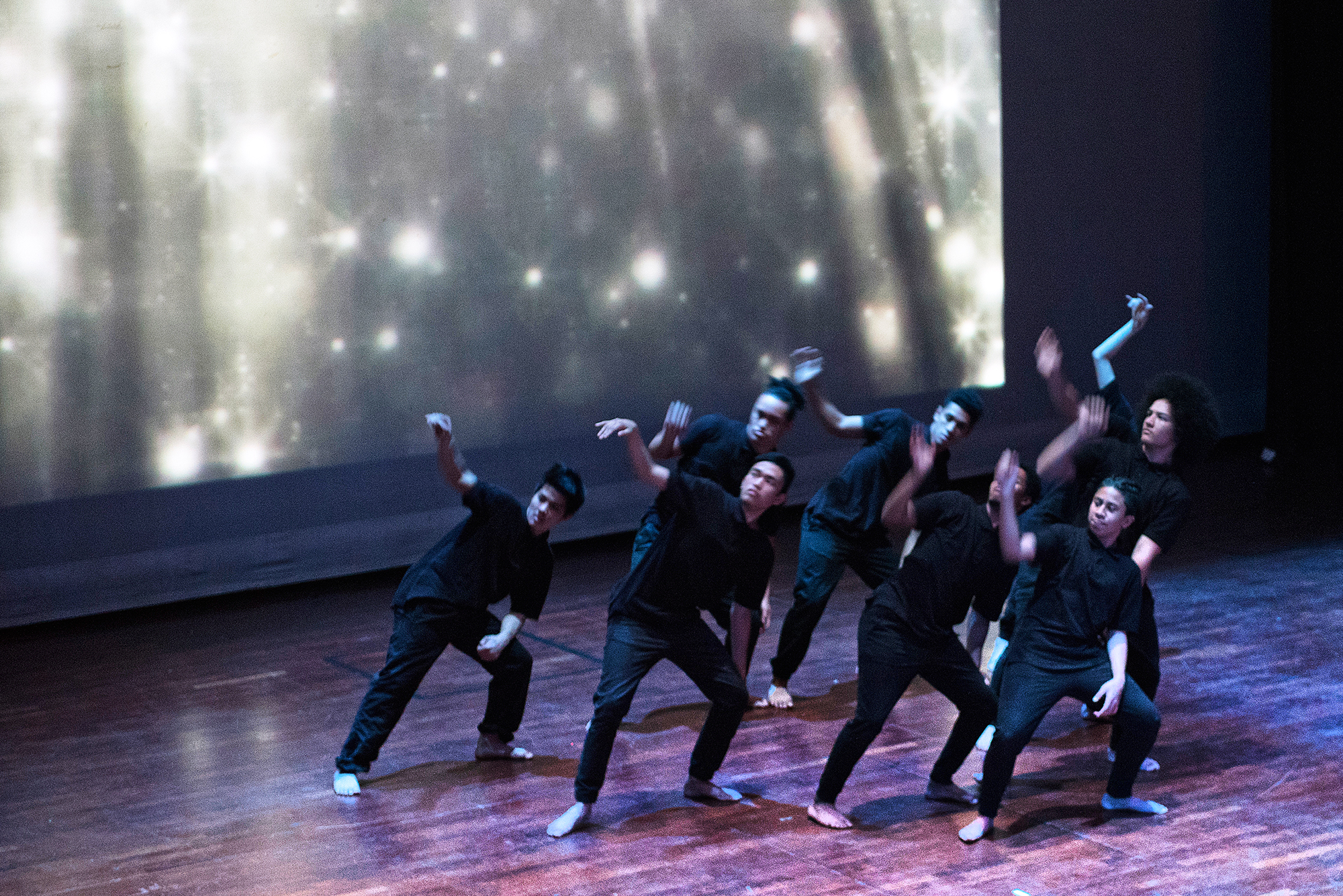 Moovit Dance Project