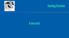 A new nest