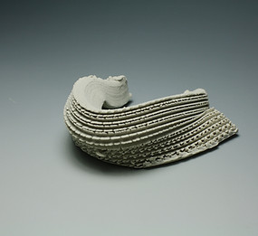 Georgie Manly AOFS.JPG