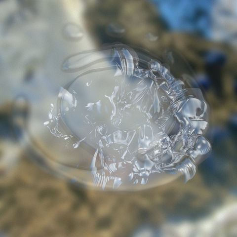 a0882624479_10.jpeg