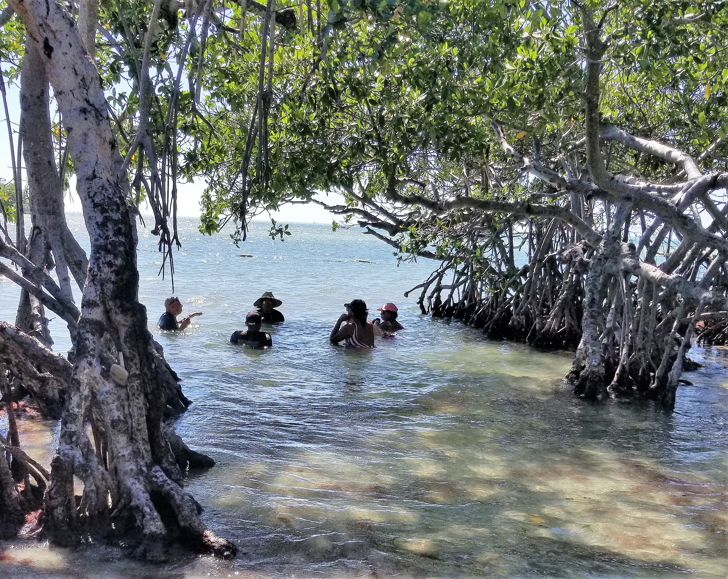 Gilligan's Island