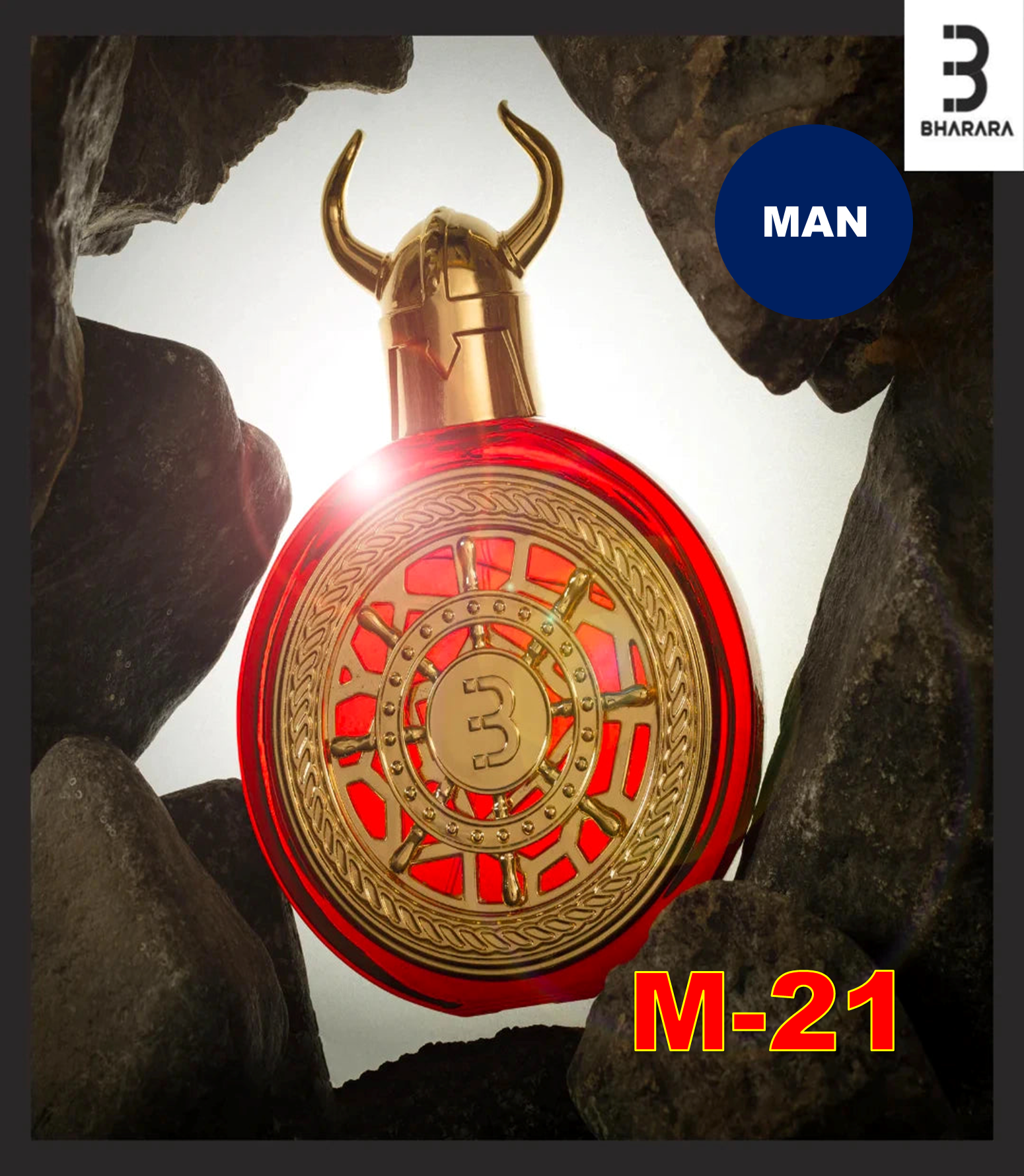 BHARARA VIKING KASHMIR