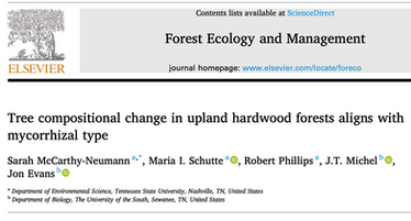 Forest Change and Mycorrhizae Paper Published!