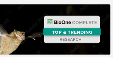 Phacelia Paper Named a BioOne Top Trending Publication