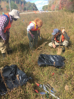 Plant Conservation Work in Tennessee