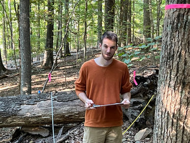 30 Year Domain Forest Study Published