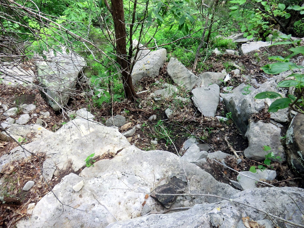 Limestone outcrop