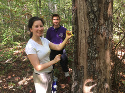 Callie and Zack speeding through a plot
