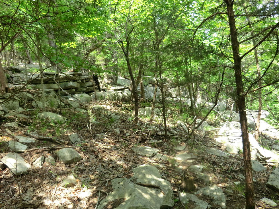 Limestone outcrop