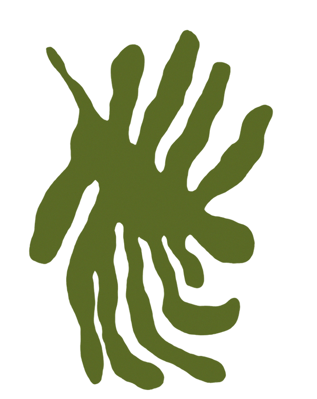 dschungel 1