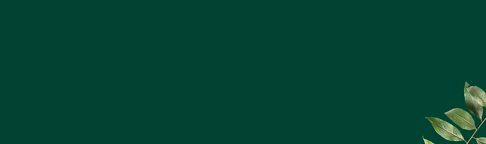 header blog novo id.png