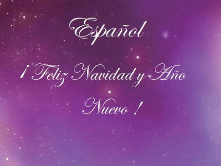 Feliz Navidad y Año Nuevo