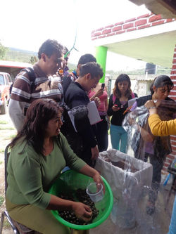 71902_256863631116526_1917663855_n