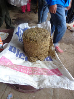 644423_256863977783158_1920928454_n