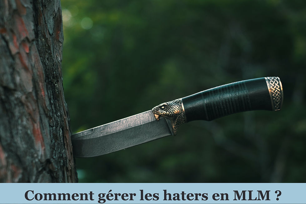 Haters marketing de réseau