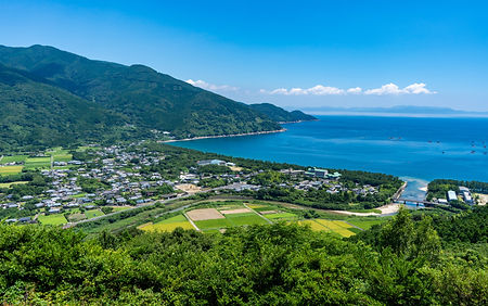 電力