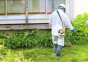 お庭・外回りの管理