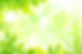 植物イメージ