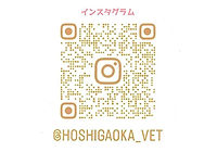 インスタグラム