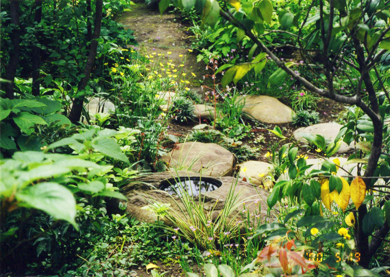 ナチュラルガーデン