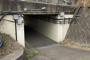 橋