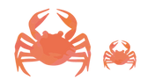 蟹