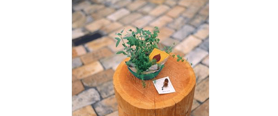 金沢マッサージ治療所