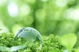 地域密着40年以上の信頼と実績