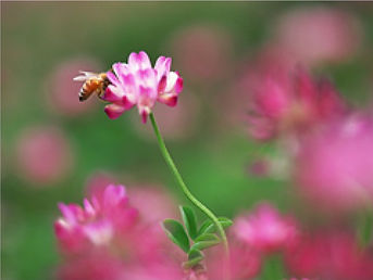 ニーズに応える柔軟なプラン