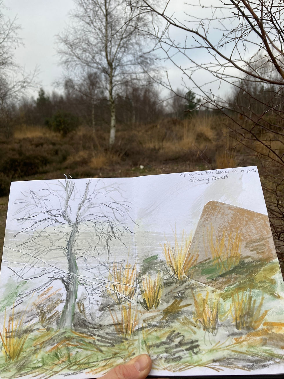 Thumbnail: Winter Westerly T/P (main edition £225)