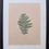 Thumbnail: FRAMED Small monoprints