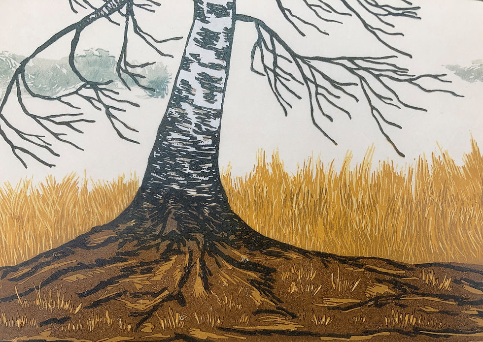 Thumbnail: Winter Westerly T/P (main edition £225)