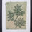 Thumbnail: FRAMED Small monoprints