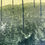 Thumbnail: Forest Textures