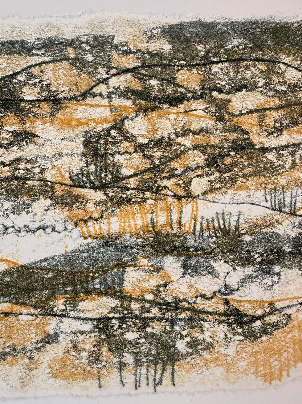 Thumbnail: FRAMED Ridges and Valleys