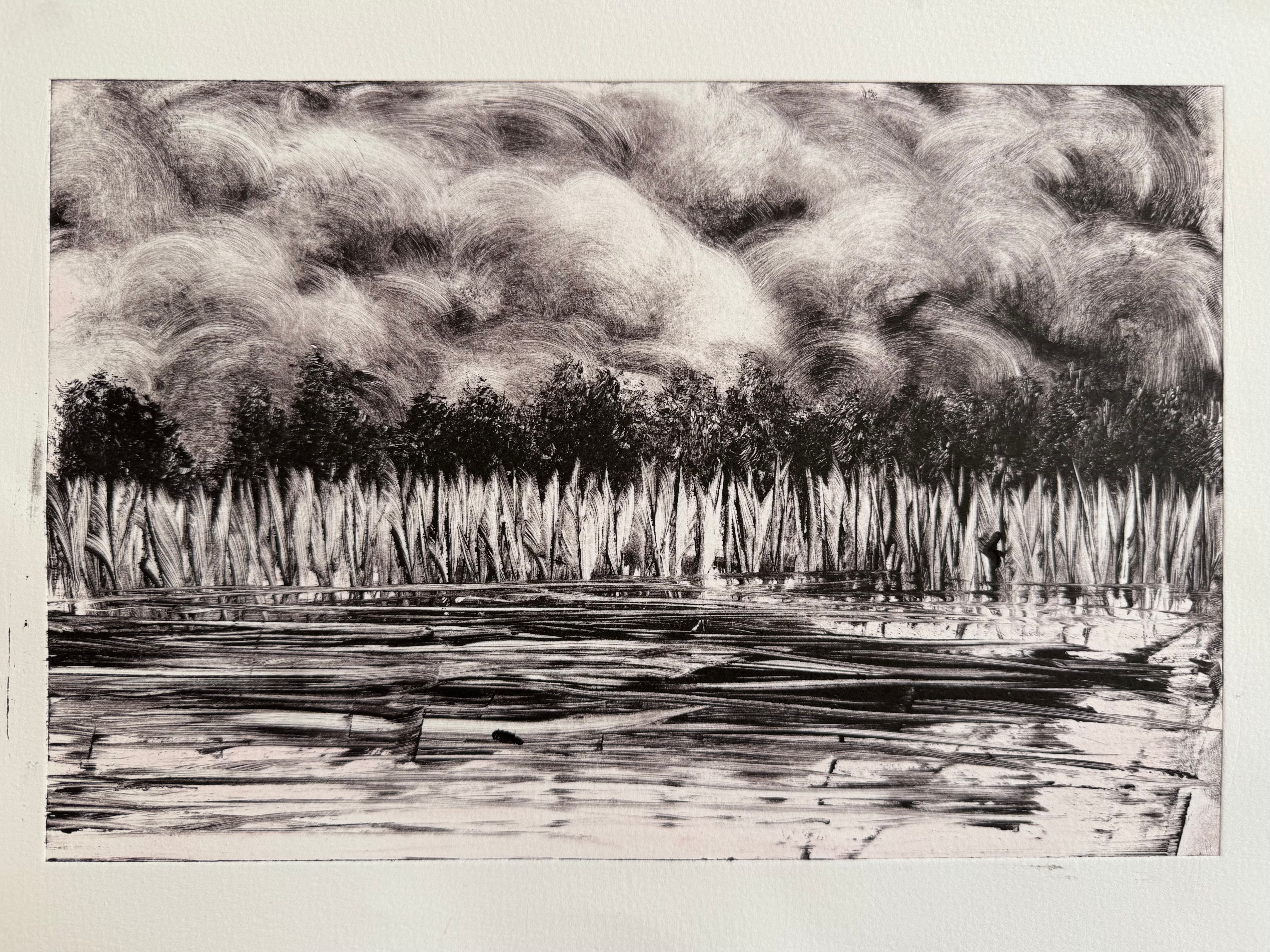 Norfolk Wetlands Monoprint