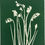 Thumbnail: Medium Monoprints