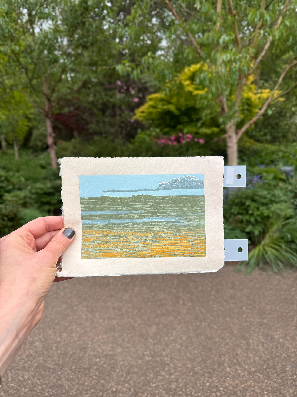 Thumbnail: Salthouse Saltmarsh