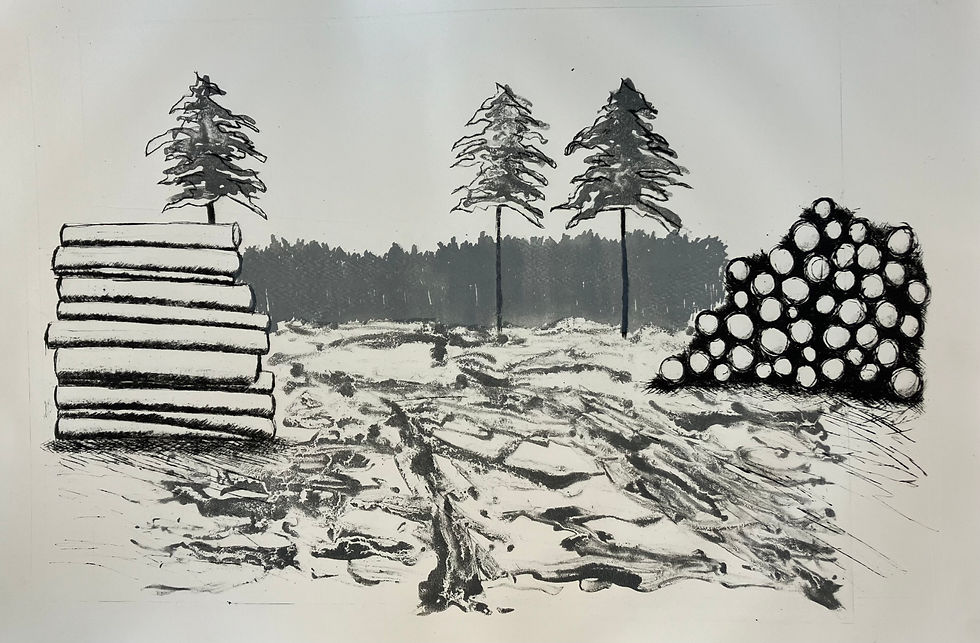 Timber Forest Explorations T/P