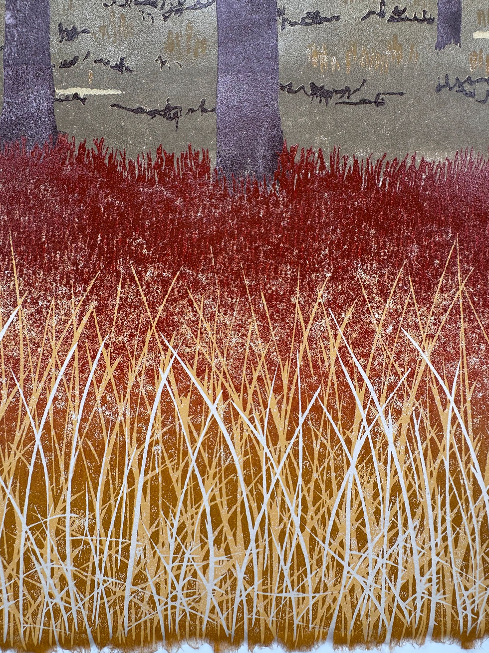 Thumbnail: FRAMED On the Cusp