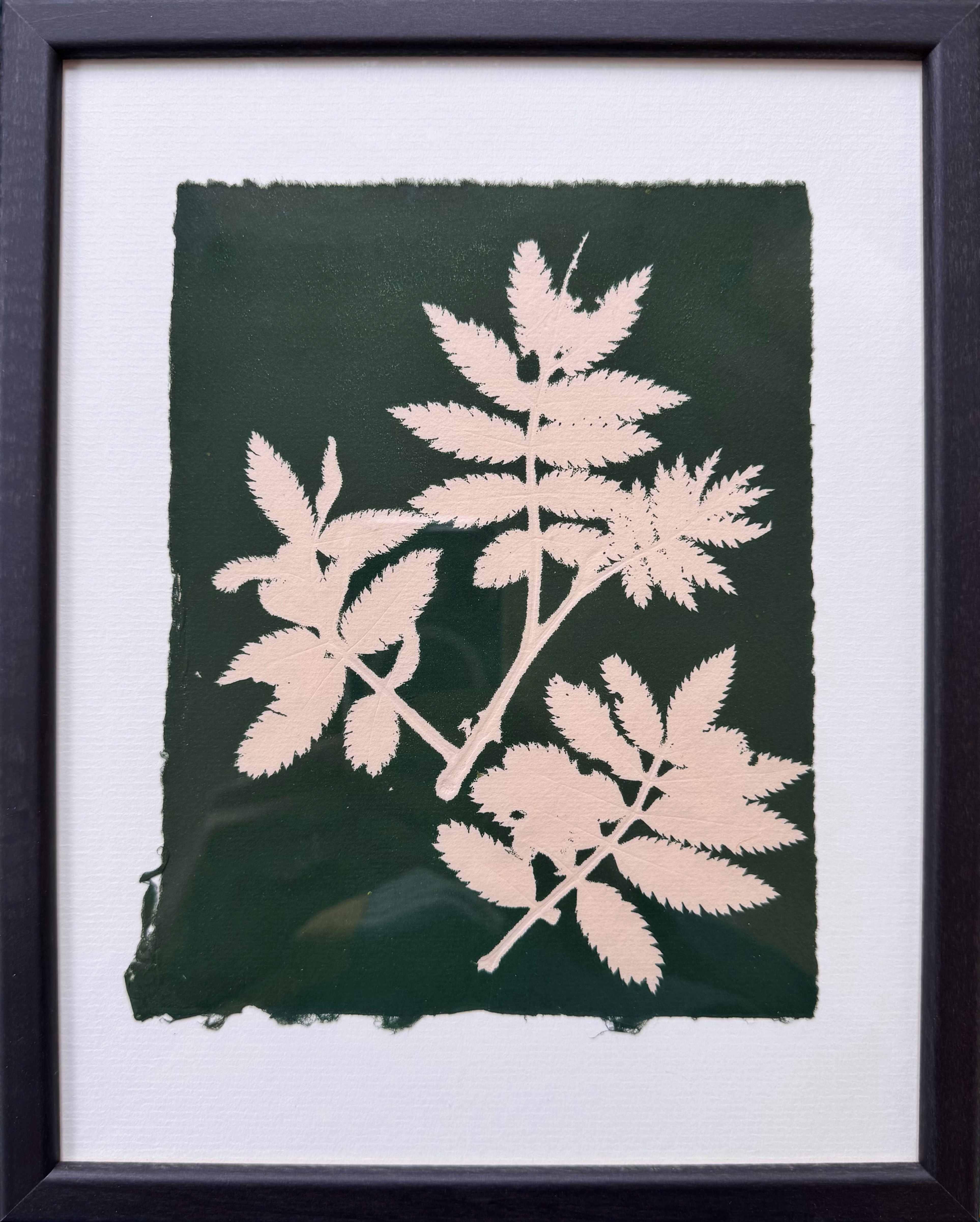 FRAMED Small monoprints