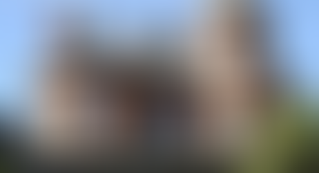 Porchview Reflections & What’s Blooming