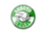 DESOTO HIGH SCHOOL – DeSoto, TEXAS