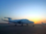 Tamara Beech 1900D